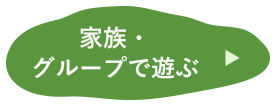 家族・グループ：リンク