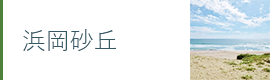浜岡砂丘